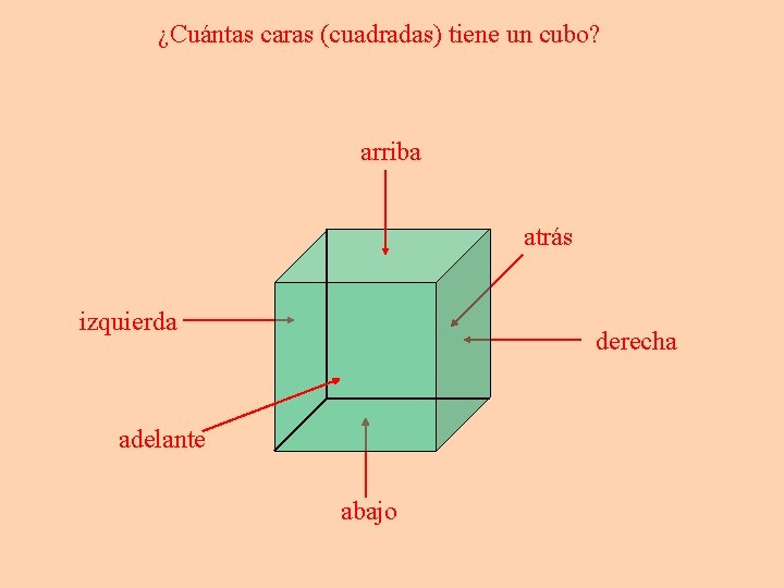 ¿Cuántas caras (cuadradas) tiene un cubo? arriba atrás izquierda derecha adelante abajo 