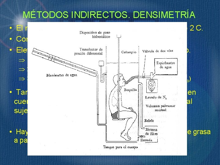 MÉTODOS INDIRECTOS. DENSIMETRÍA • El método más utilizado para estimar el modelo de 2 MÉTODOS INDIRECTOS. DENSIMETRÍA • El método más utilizado para estimar el modelo de 2