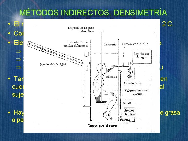 MÉTODOS INDIRECTOS. DENSIMETRÍA • El método más utilizado para estimar el modelo de 2