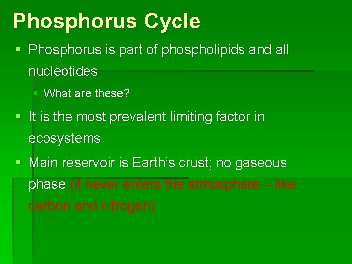Phosphorus Cycle § Phosphorus is part of phospholipids and all nucleotides § What are