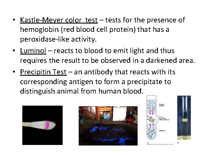  • Kastle-Meyer color test – tests for the presence of hemoglobin (red blood