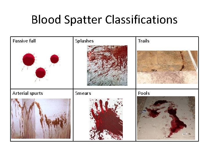 Blood Spatter Classifications Passive fall Splashes Trails Arterial spurts Smears Pools 