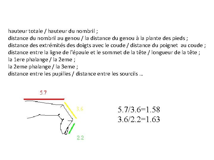 hauteur totale / hauteur du nombril ; distance du nombril au genou / la
