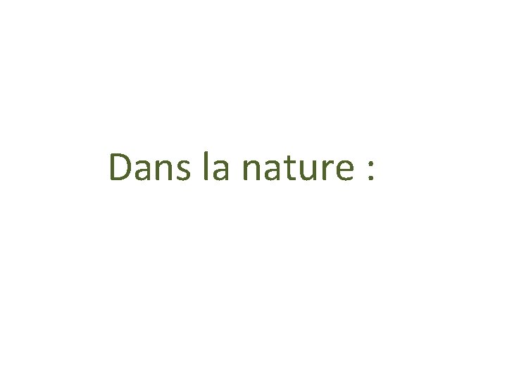 Dans la nature : 