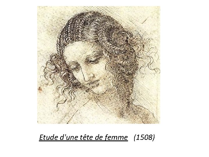 Etude d'une tête de femme (1508) 