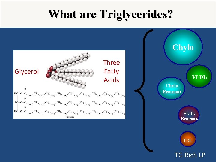 What are Triglycerides? Chylo Glycerol Three Fatty Acids VLDL Chylo Remnant VLDL Remnant IDL