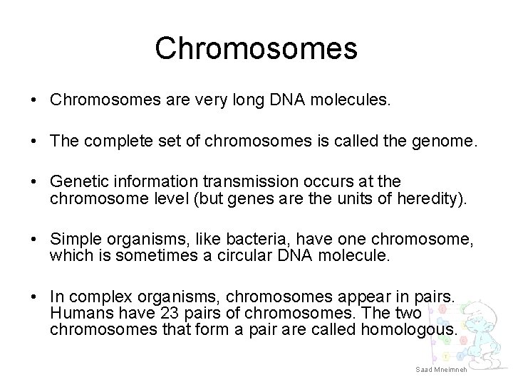 Chromosomes • Chromosomes are very long DNA molecules. • The complete set of chromosomes