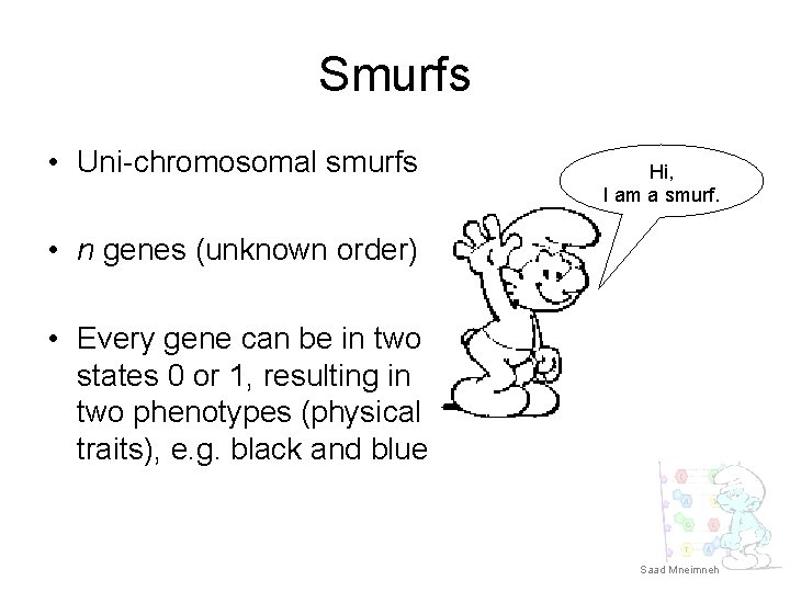 Smurfs • Uni-chromosomal smurfs Hi, I am a smurf. • n genes (unknown order)