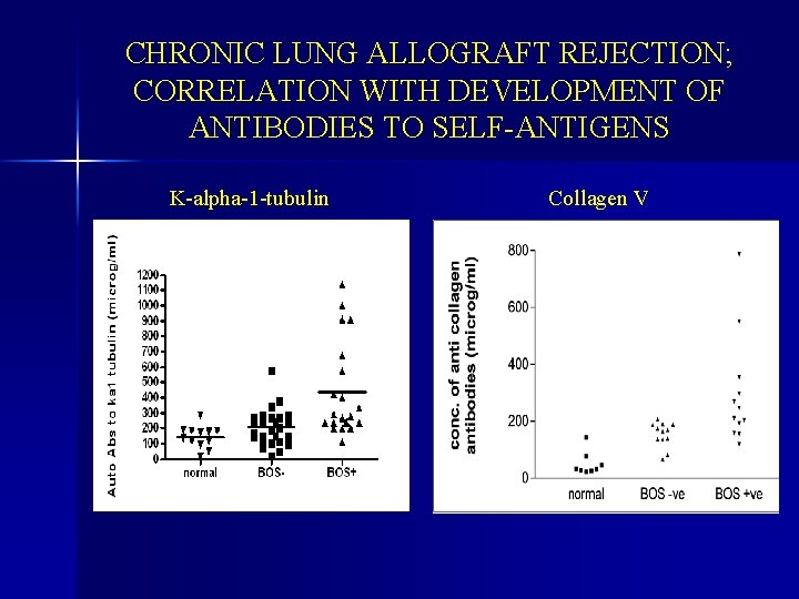 CHRONIC LUNG ALLOGRAFT REJECTION; CORRELATION WITH DEVELOPMENT OF ANTIBODIES TO SELF-ANTIGENS K-alpha-1 -tubulin Collagen