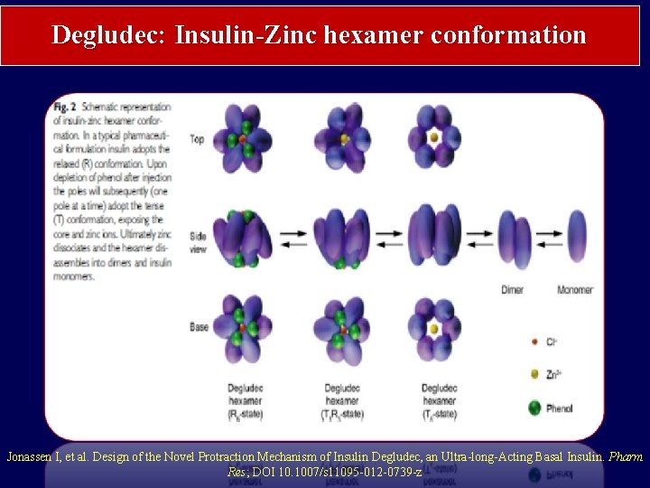 Degludec: Insulin-Zinc hexamer conformation Jonassen I, et al. Design of the Novel Protraction Mechanism