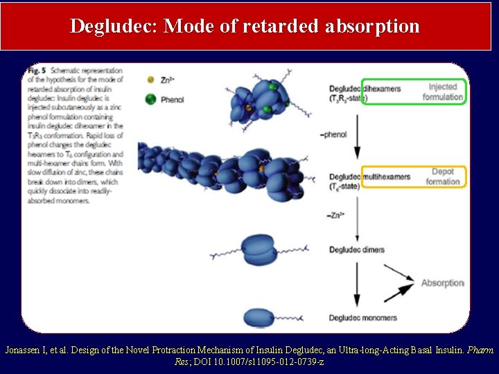 Degludec: Mode of retarded absorption Jonassen I, et al. Design of the Novel Protraction