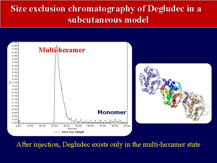 Size exclusion chromatography of Degludec in a subcutaneous model Multi-hexamer After injection, Degludec exists