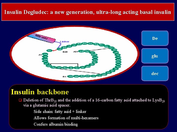 Insulin Degludec: a new generation, ultra-long acting basal insulin De glu dec Insulin backbone