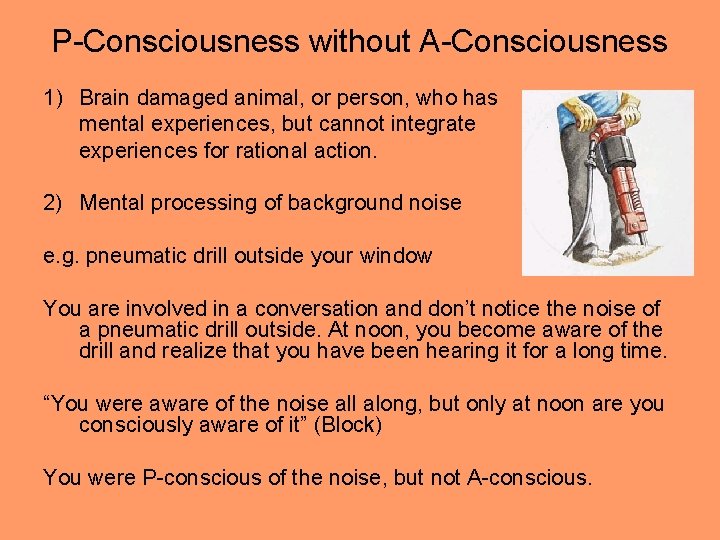 P-Consciousness without A-Consciousness 1) Brain damaged animal, or person, who has mental experiences, but