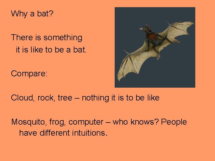 Why a bat? There is something it is like to be a bat. Compare: