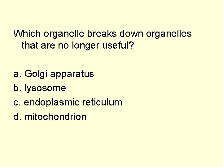 Which Organelle Breaks Down Organelles That Are No Longer Useful