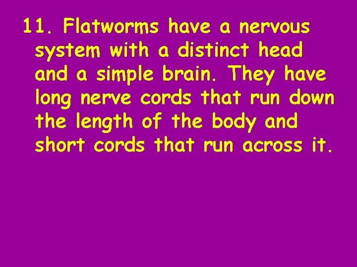 11. Flatworms have a nervous system with a distinct head and a simple brain.