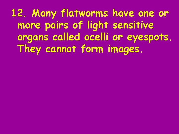 12. Many flatworms have one or more pairs of light sensitive organs called ocelli