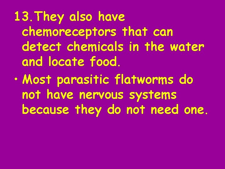 13. They also have chemoreceptors that can detect chemicals in the water and locate