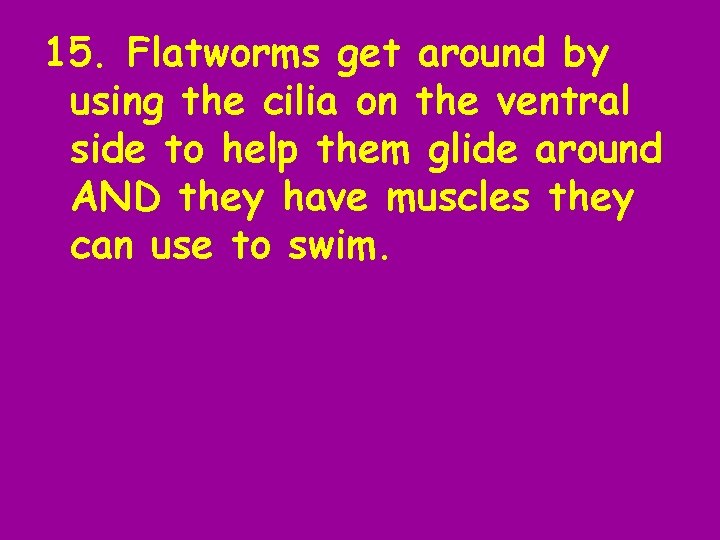 15. Flatworms get around by using the cilia on the ventral side to help
