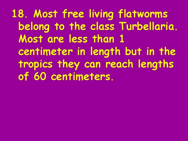 18. Most free living flatworms belong to the class Turbellaria. Most are less than