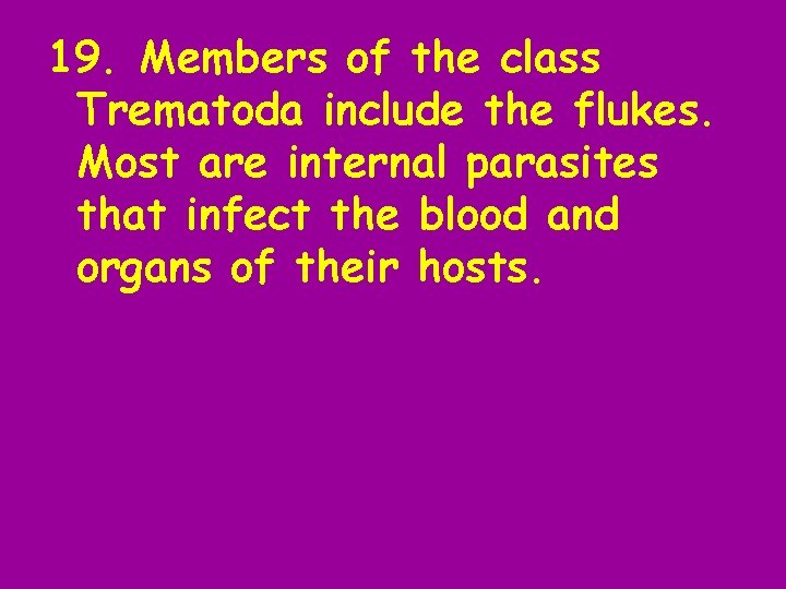 19. Members of the class Trematoda include the flukes. Most are internal parasites that