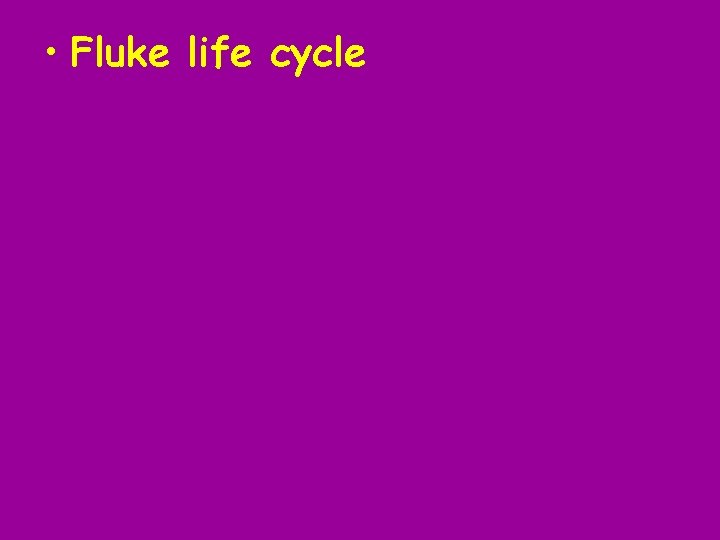  • Fluke life cycle 