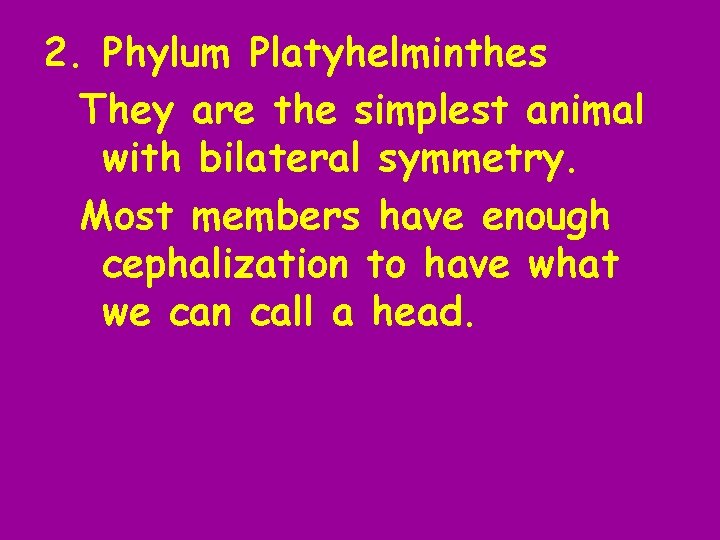 2. Phylum Platyhelminthes They are the simplest animal with bilateral symmetry. Most members have