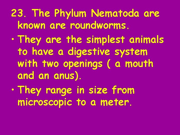 23. The Phylum Nematoda are known are roundworms. • They are the simplest animals