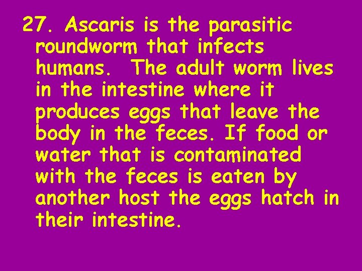 27. Ascaris is the parasitic roundworm that infects humans. The adult worm lives in