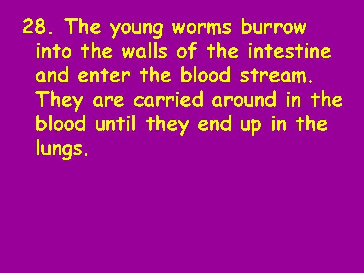 28. The young worms burrow into the walls of the intestine and enter the