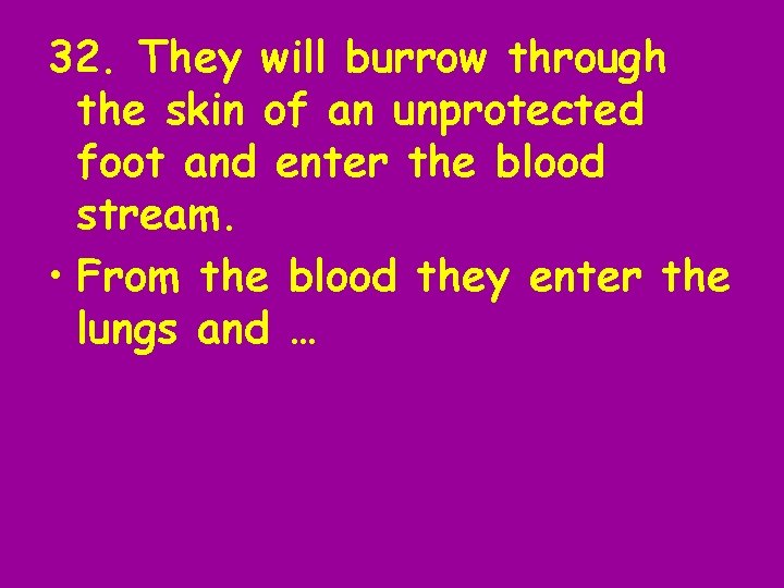 32. They will burrow through the skin of an unprotected foot and enter the