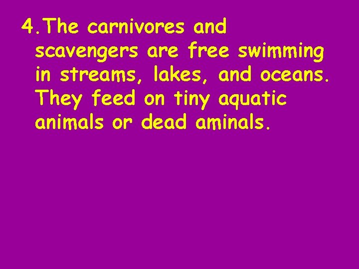 4. The carnivores and scavengers are free swimming in streams, lakes, and oceans. They