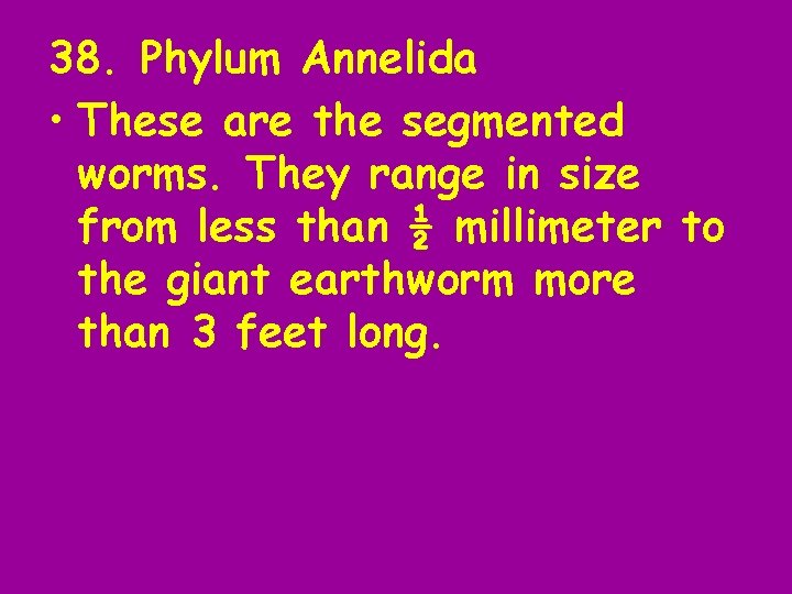 38. Phylum Annelida • These are the segmented worms. They range in size from