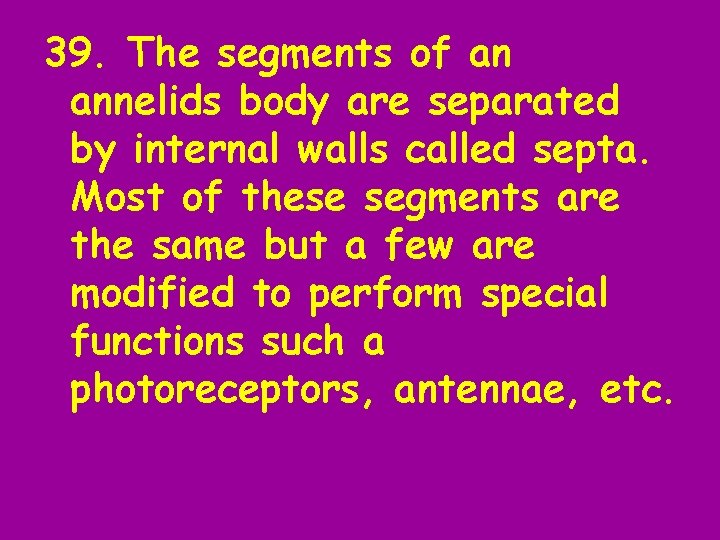 39. The segments of an annelids body are separated by internal walls called septa.