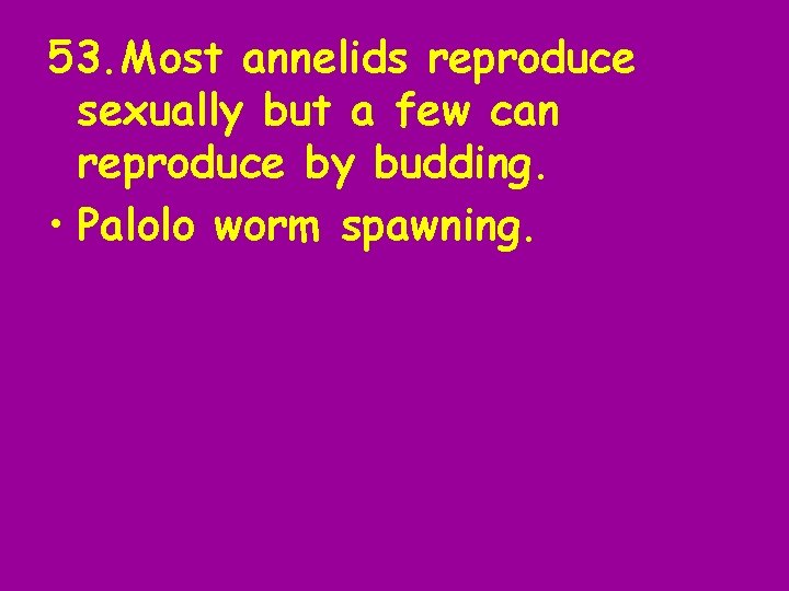 53. Most annelids reproduce sexually but a few can reproduce by budding. • Palolo