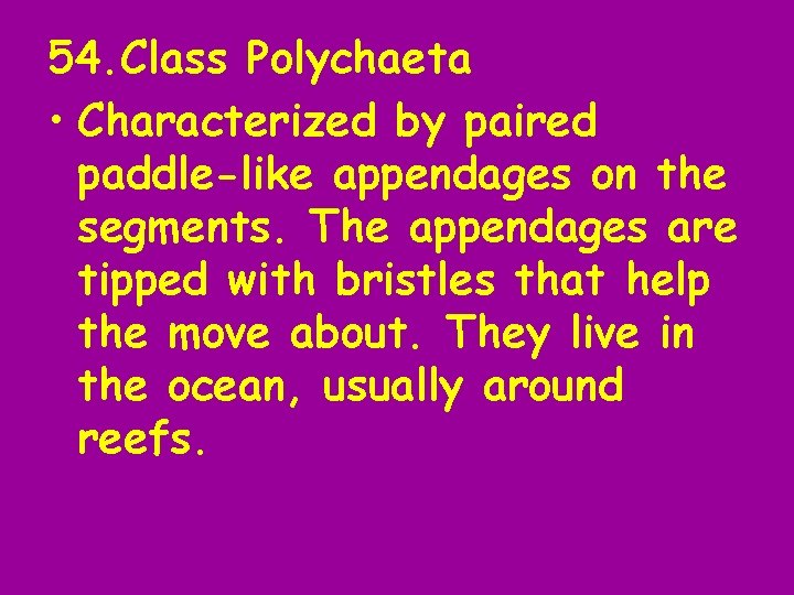 54. Class Polychaeta • Characterized by paired paddle-like appendages on the segments. The appendages