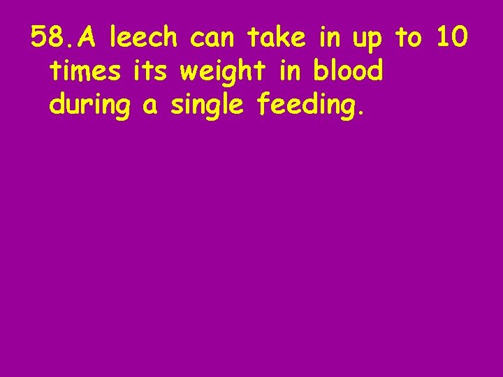 58. A leech can take in up to 10 times its weight in blood