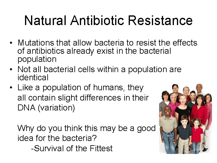 Natural Antibiotic Resistance • Mutations that allow bacteria to resist the effects of antibiotics