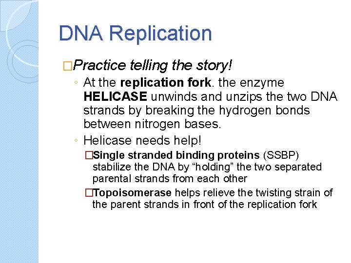 DNA Replication �Practice telling the story! ◦ At the replication fork. the enzyme HELICASE