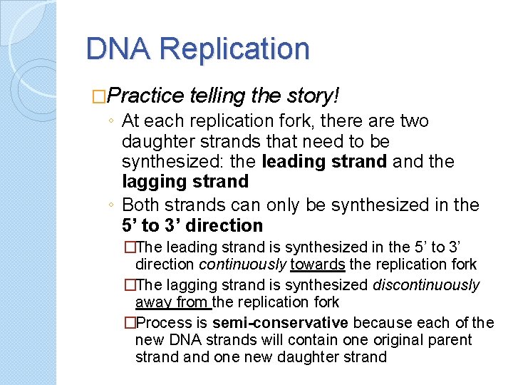 DNA Replication �Practice telling the story! ◦ At each replication fork, there are two