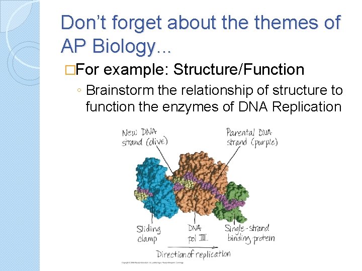 Don’t forget about themes of AP Biology. . . �For example: Structure/Function ◦ Brainstorm