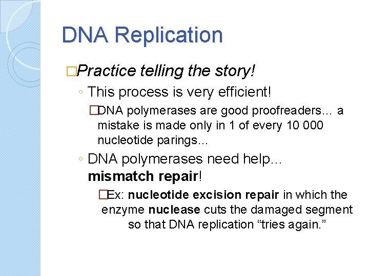 DNA Replication �Practice telling the story! ◦ This process is very efficient! �DNA polymerases