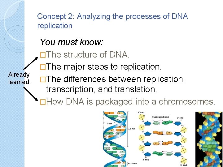 Concept 2: Analyzing the processes of DNA replication Already learned. You must know: �The