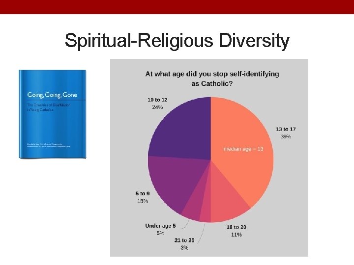 Spiritual-Religious Diversity 