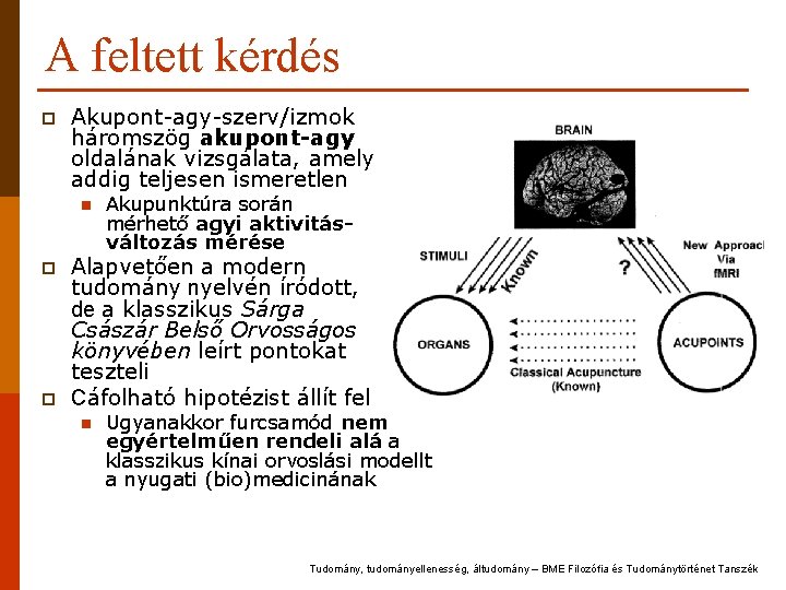 A feltett kérdés p Akupont-agy-szerv/izmok háromszög akupont-agy oldalának vizsgálata, amely addig teljesen ismeretlen n A feltett kérdés p Akupont-agy-szerv/izmok háromszög akupont-agy oldalának vizsgálata, amely addig teljesen ismeretlen n