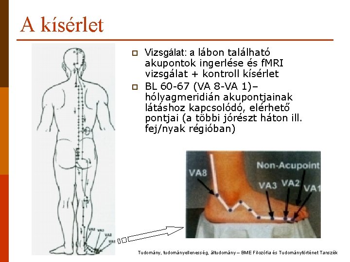 A kísérlet p p Vizsgálat: a lábon található akupontok ingerlése és f. MRI vizsgálat A kísérlet p p Vizsgálat: a lábon található akupontok ingerlése és f. MRI vizsgálat