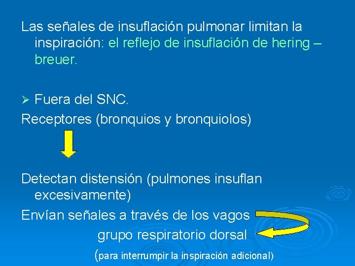 Las señales de insuflación pulmonar limitan la inspiración: el reflejo de insuflación de hering