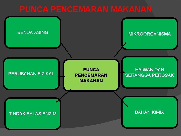 PUNCA PENCEMARAN MAKANAN BENDA ASING PERUBAHAN FIZIKAL TINDAK BALAS ENZIM MIKROORGANISMA PUNCA PENCEMARAN MAKANAN