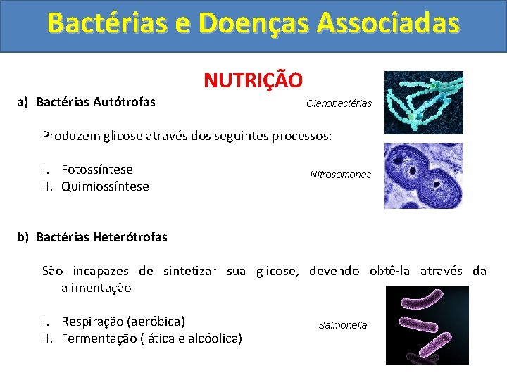 Bactérias e Doenças Associadas a) Bactérias Autótrofas NUTRIÇÃO Cianobactérias Produzem glicose através dos seguintes